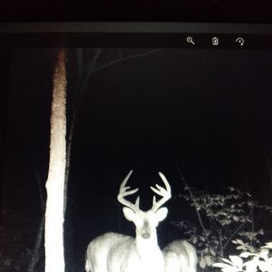 Meet your Posher, Bradley